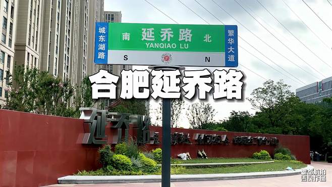 合肥延乔路再次被鲜花包围，这盛世如您所愿！