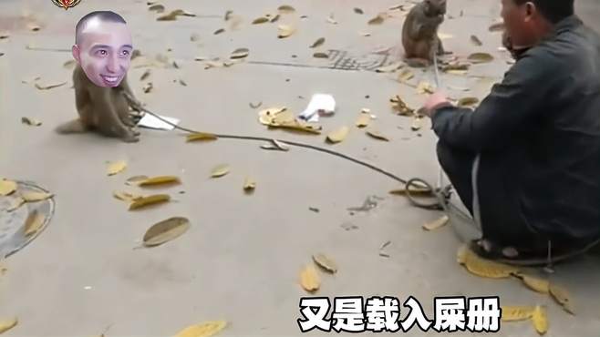 每日一笑！搞笑鬼畜