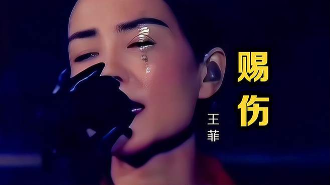 伤感音乐《赐伤》，王菲这声音真的很干净，好听！