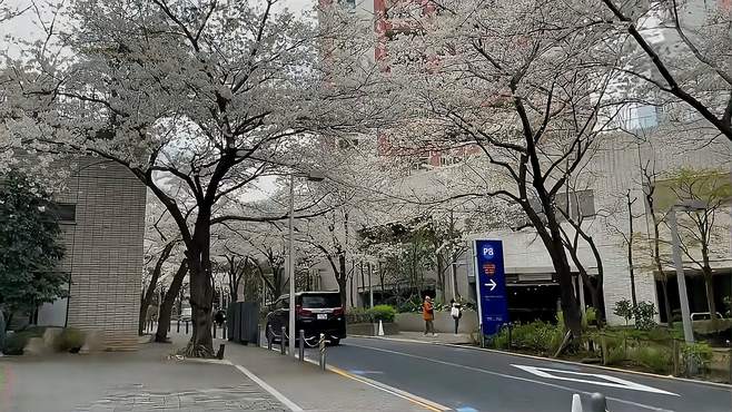 进入热闹街头，吸取城市文化，感受都市魅力