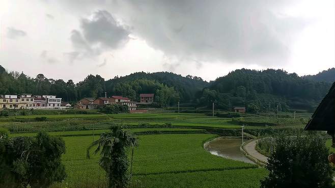 暴雨马上来临，前些天受台风杜苏芮影响特别热，今天应该会很凉爽