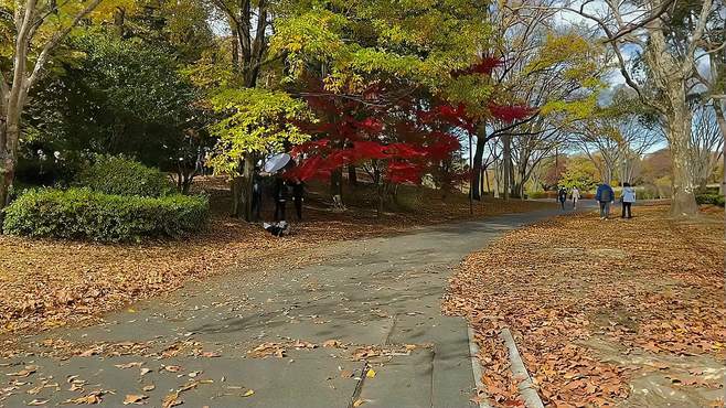 放眼大都市，感受繁华流动，享受节奏悠扬