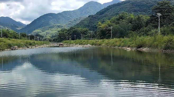 增城阴背村有可以畅泳山泉水河哦！