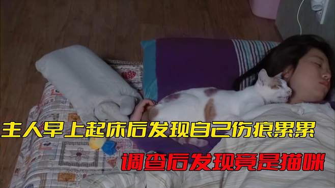 主人早上起床后发现自己伤痕累累，调查后发现竟是猫咪