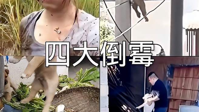 盘点那些满级四大倒霉搞笑视频合集