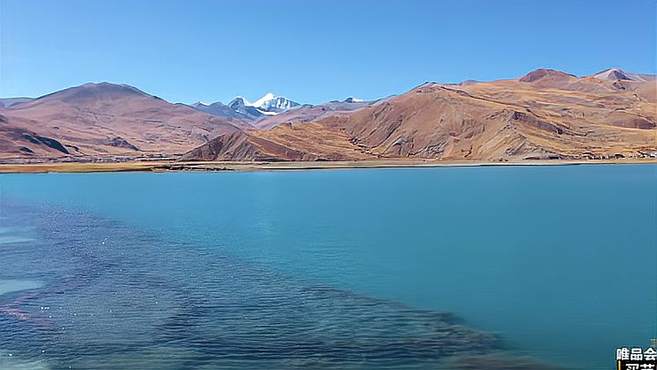 五哈团抵达羊湖，风景太美了，湖边的颜色递进绝了，太漂亮丨五哈