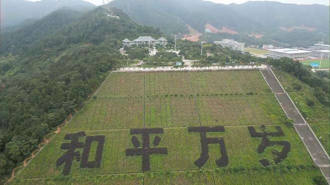 知行合一，笃行致远；喜迎国庆，和平万岁！