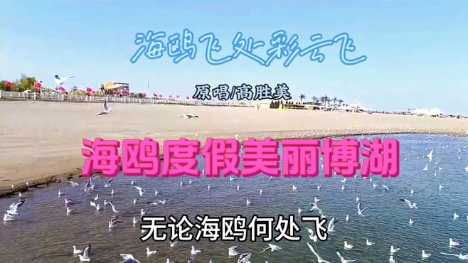 2023.10.6海鸥度假新疆博湖