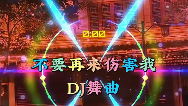 车载音乐，劲爆DJ《不要再来伤害我》