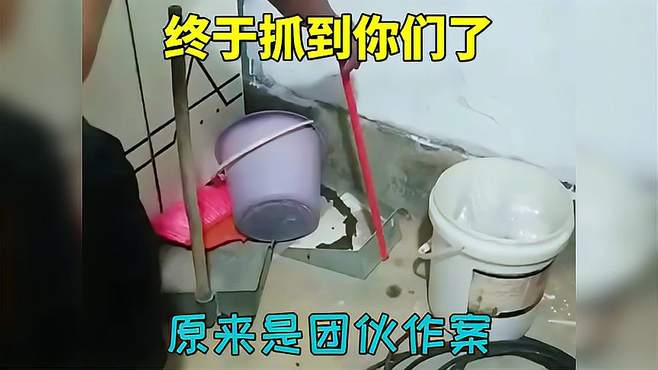 揭秘：被困三天三夜的我们原来是好心人放出来！不是坏人！