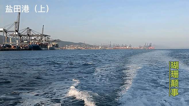打卡深圳盐田港，带你体验世界第十大港口的工业之美