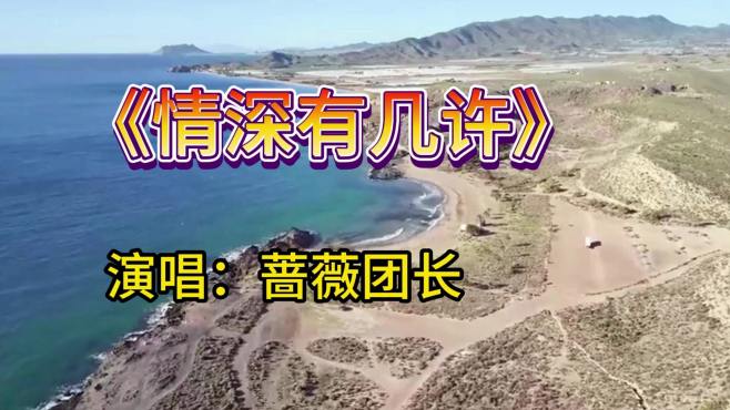 蔷薇团长演唱一首《情深有几许》，旋律优美伤感，曲风太好听了