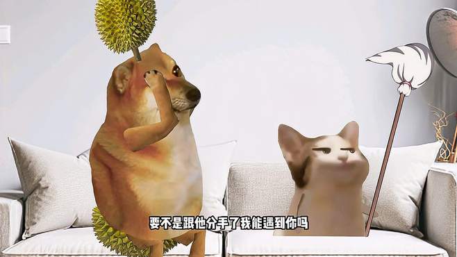 哈你还太嫩了小猫