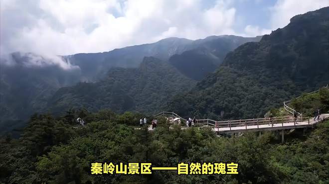 秦岭山景区：登高望远，探寻自然与历史的足迹