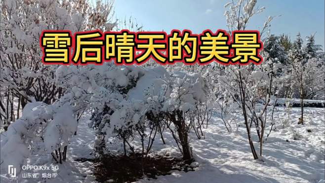 雪后的景也很漂亮呀