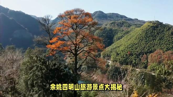 余姚四明山旅游景点有哪些你知道吗