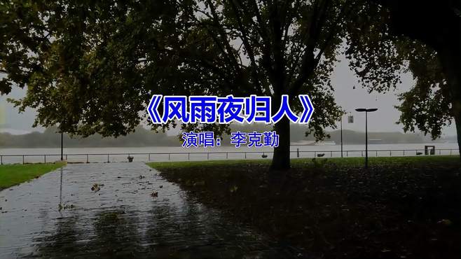 送给大家一首《风雨夜归人》，经典好听，直击灵魂