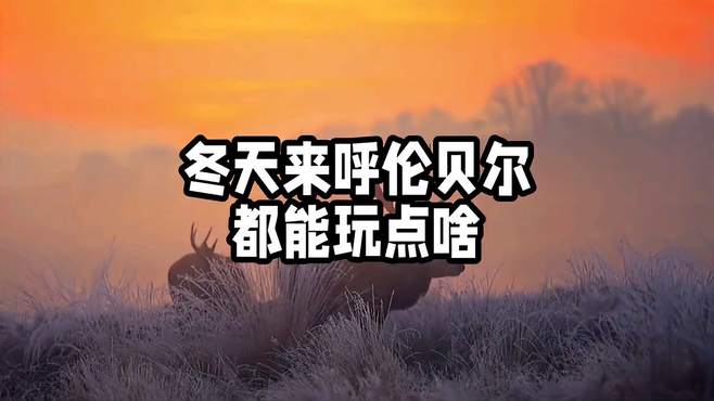 看完这条视频，我保证你不想去哈尔滨雪乡了