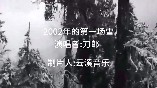 每日推荐音乐！《2002年的第一场雪》刀郎，经典老歌！