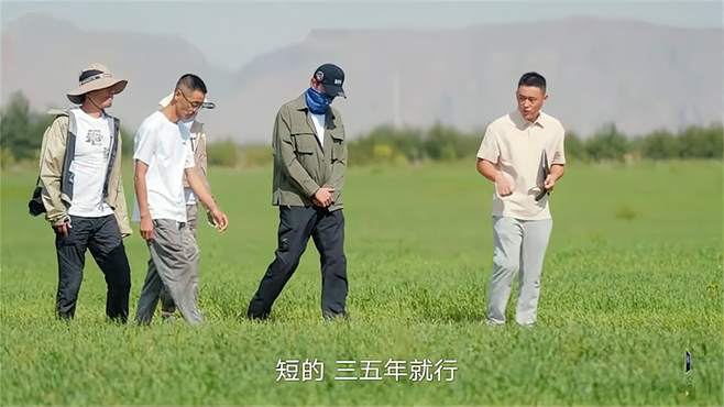 这才是明星！胡歌去沙漠上的有机农场，一片绿油油太好看！