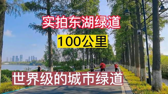 实拍东湖绿道，沿湖100公里，世界级的城市绿道！