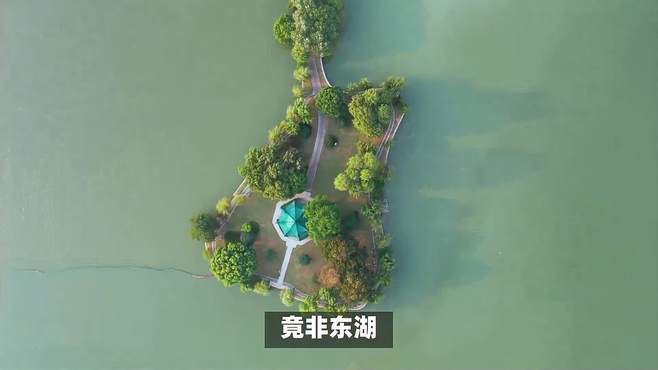 武汉市最大的城中湖湿地公园，竟非东湖？曾经的沙湖有多宽广？