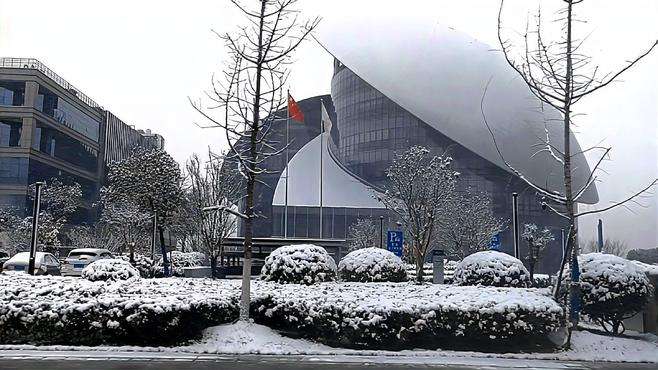 南京大雪，带你看路上雪景