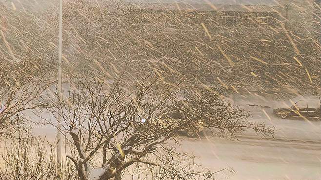 威海夜雪，吹灯窗更明，月照一天雪