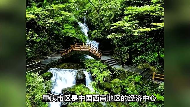 重庆值得去的5A景区，森林覆盖率百分之97，被誉为生物基因库