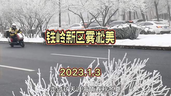 铁岭新区雾凇美（2024.1.3）