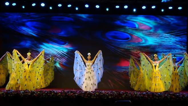 2024“春之声·金梦想”云南跨国新春文艺晚会：舞蹈《金色孔雀》