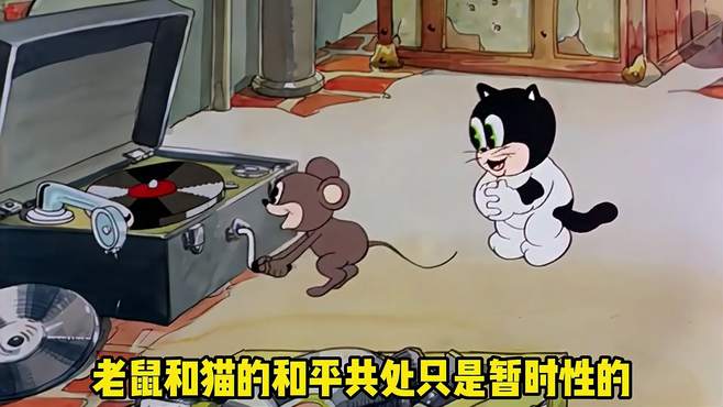 老鼠和猫的和平共处只是暂时性的