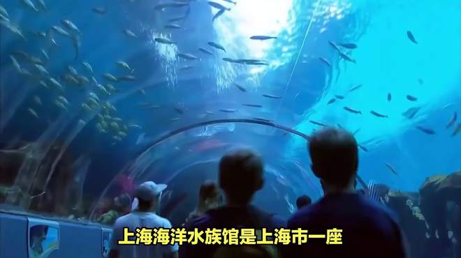 上海海洋水族馆游玩攻略