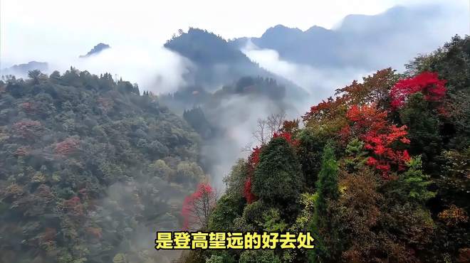 重庆旅游必去景点有哪些？魔幻重庆，辣味与美景并存的旅行地！