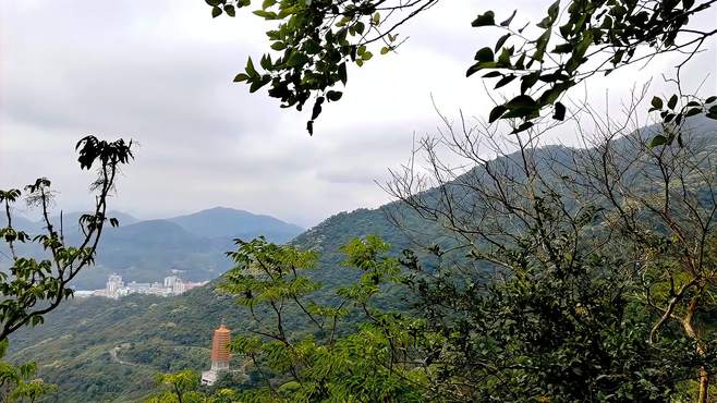 梧桐山旅游攻略：探索梧桐山奇峰异景，领略自然之神奇