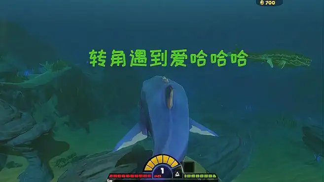 海底大猎杀：鲨鱼转角遇到爱，是心动的感觉哈哈哈！