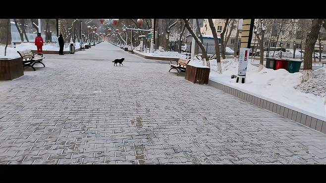 团场街景和步行街景。给大看，喜欢点个赞