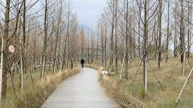 身边的美景，旗山湖公园