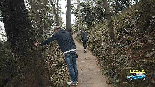 周一围和姜思达爬山，不料他突然开始和树说话，姜思达一脸蒙圈！