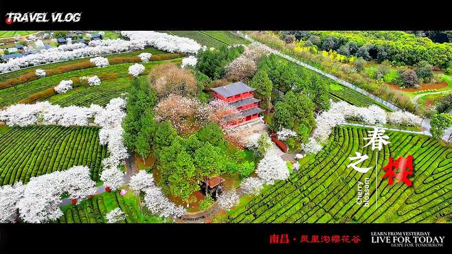 南昌·凤凰沟 ‖ 樱花盛开的地方