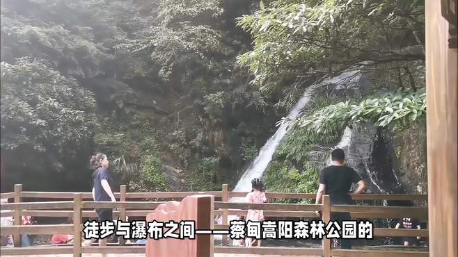 武汉蔡甸嵩阳森林公园：徒步与瀑布的自然之旅