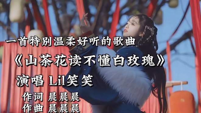 经典歌曲《山茶花读不懂白玫瑰》，温暖又治愈！