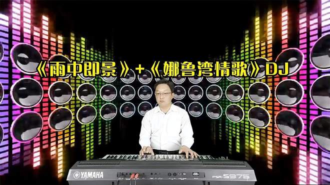 《雨中即景》+《娜鲁湾情歌》DJ电子琴音乐