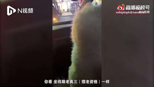 迷路萨摩耶被救后直接坐上警车副驾驶，网友：仿佛要出警一样