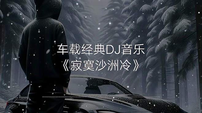 一首车载经典DJ音乐《寂寞沙洲冷》