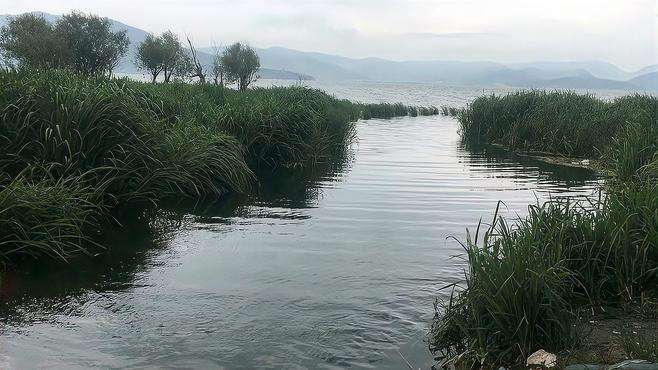 静谧灵秀的洱海湖湾