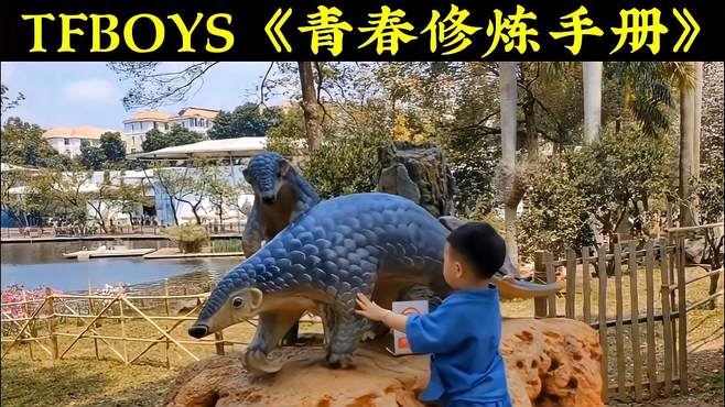 TFBOYS《青春修炼手册》无法超越的华语经典 动物园 萝岗香雪公园