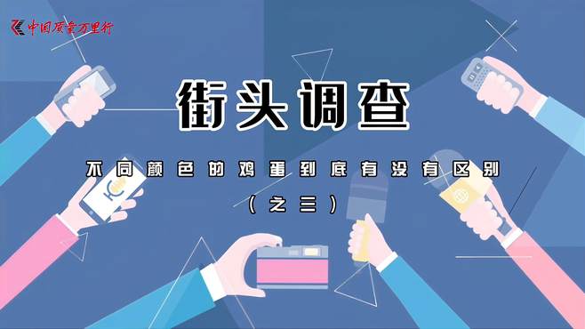 《您知道吗》不同颜色鸡蛋到底有没有区别（之三）