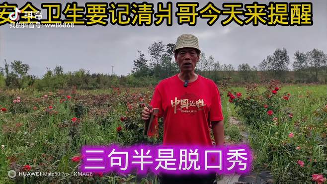 夏季安全记心中，水果放在果盘中，既时不吃蚊蝇叮