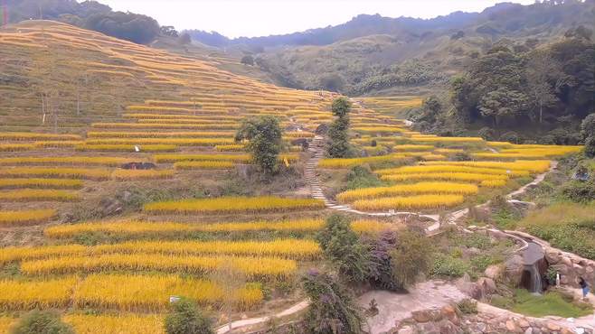 汕尾最美高山梯田，景美免费自驾直达，错过再等一年